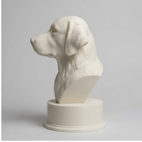 犬（ゴールデンレトリバー）の3Dプリント胸像 白PLA 彫刻 置物 インテリア