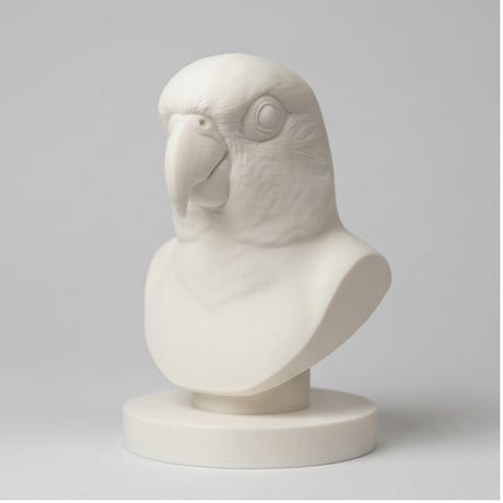 ナナイロメキシコインコの3Dプリント胸像 白PLA 彫刻 置物 インテリア