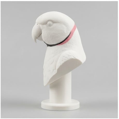 インドオオハナインコの3Dプリント胸像 白PLA 彫刻 置物 インテリア