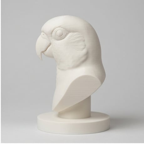 ナナイロメキシコインコの3Dプリント胸像 白PLA 彫刻 置物 インテリア