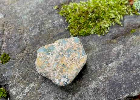 スイス産アルパイン翡翠　36g / Swiss Alpine Jadeite