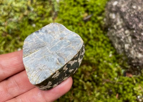 スイス産アルパイン翡翠　64g / Swiss Alpine Jadeite