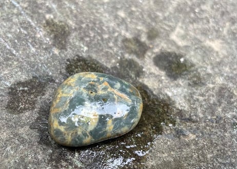 スイス産アルパイン翡翠　13.5g / Swiss Alpine Jadeite