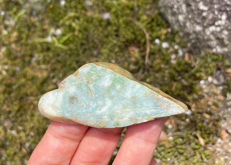 スイス産アルパイン翡翠　31.6g / Swiss Alpine Jadeite