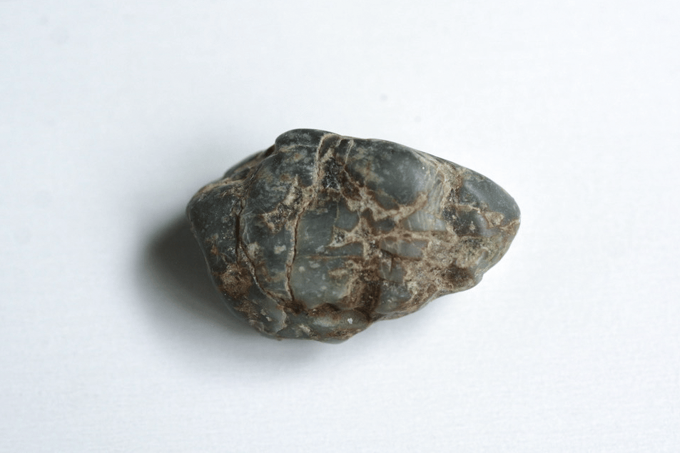 スイス産アルパイン翡翠 39g / Swiss Alpine Jadeite | SPIRIT