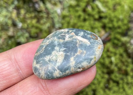 スイス産アルパイン翡翠　13.5g / Swiss Alpine Jadeite