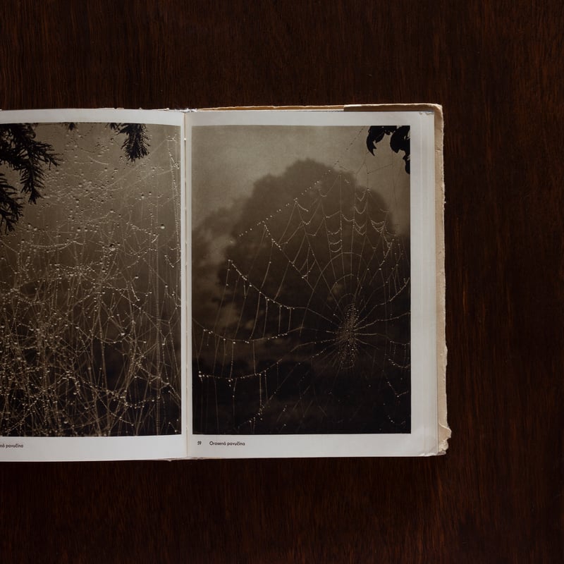 Fotografie / Josef Sudek | Callada