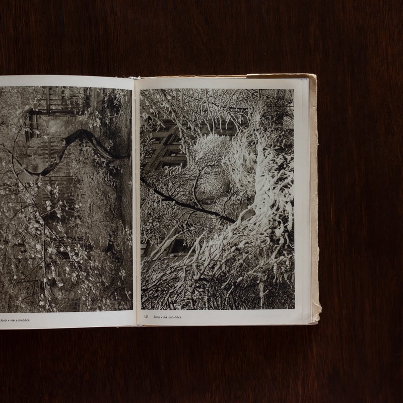 Fotografie / Josef Sudek | Callada