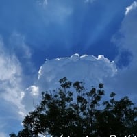 ライタリアンレイキ伝授～魂の役割に目覚める