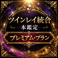 ツインレイ統合 本鑑定 ─ プレミアム・プラン
