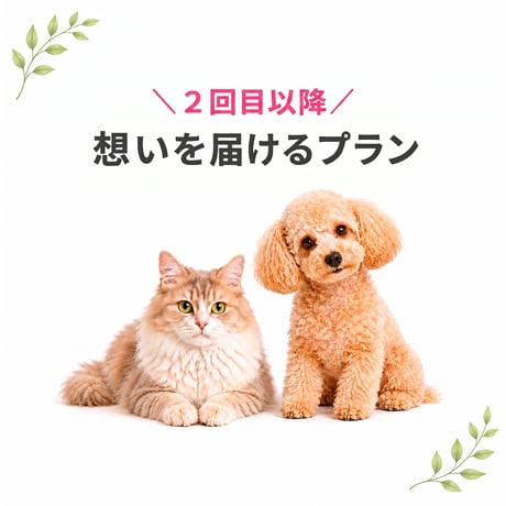 霊視 | STORES
