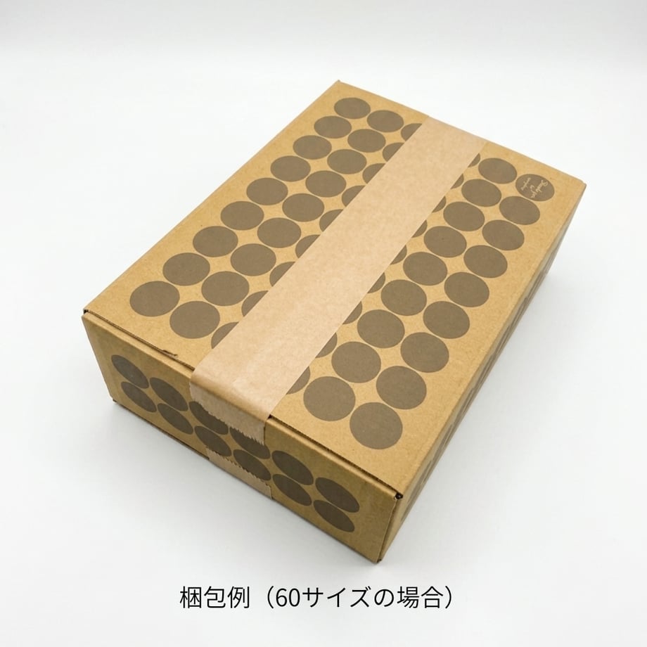 6a150046ff407e44c0581c41