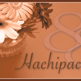 hachipachi88_STORE