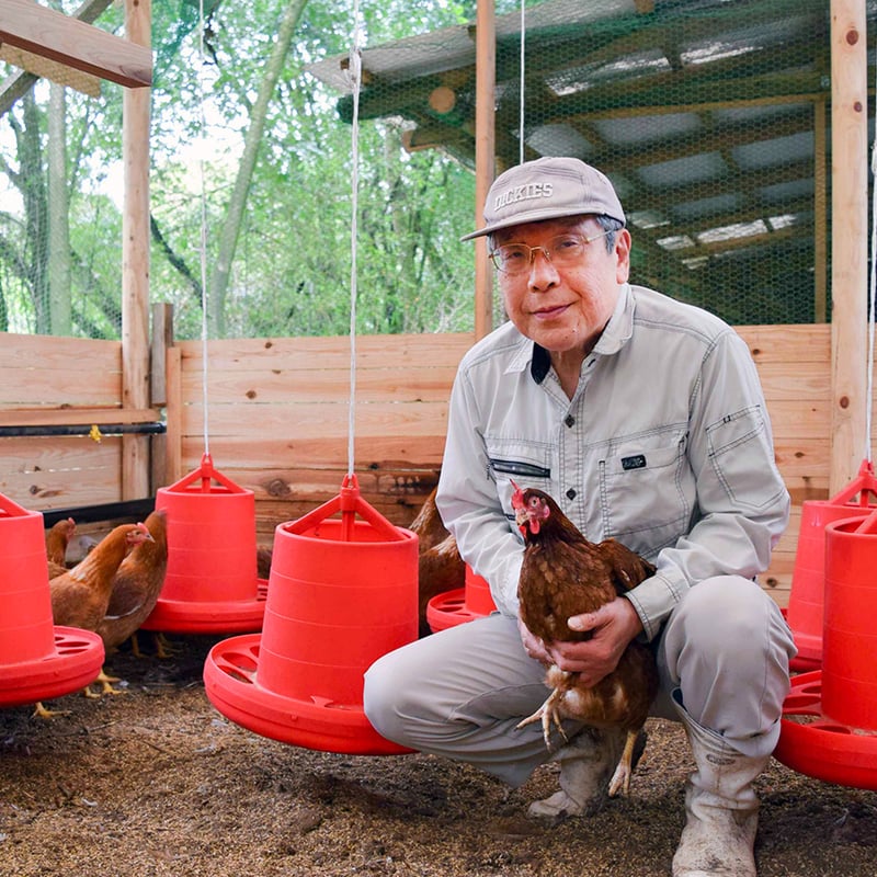 平飼い卵 伊佐の雫 40個（10個入×4パック） | いちき農園オンライン