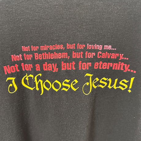 90s USA製 Hanes The Choice III イースターTシャツ XLサイズ