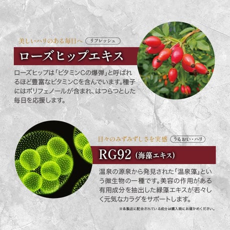 モクプレ RG92（３種類）