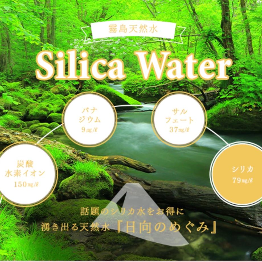 6a2a54eb467cc70e31d663f5