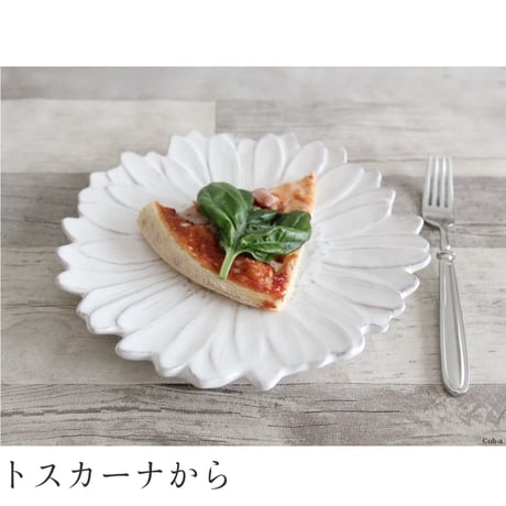 ヴィルジニア カーサ マルゲリータ プレート21cm