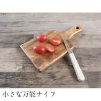 ロジェ オルエフェヴル スペシャリテナイフ（サーブル）