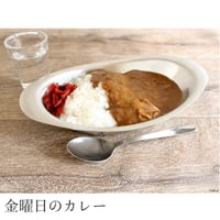 イケダ　ステンレスカレー皿（スプーンのオマケつき）