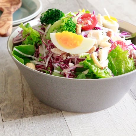 dishes bowl L