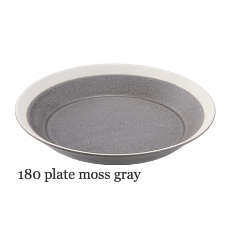 dishes 180 plate