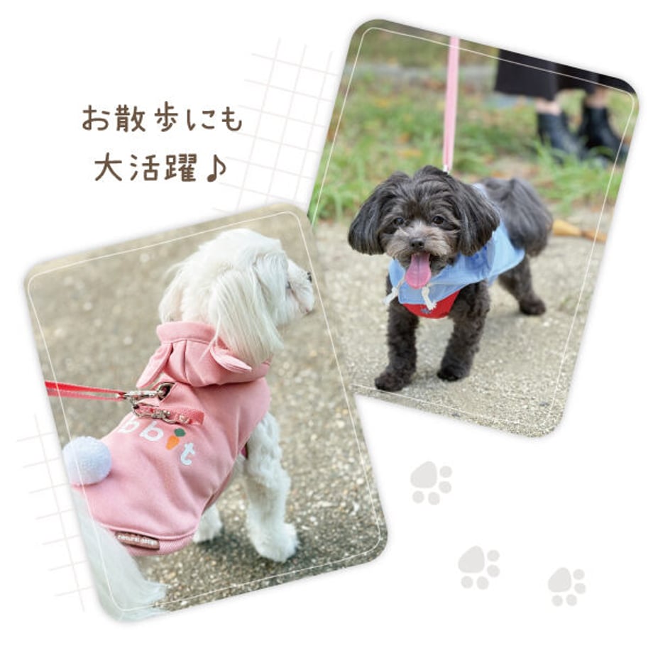 6a5f48b27ab8803332f57a78