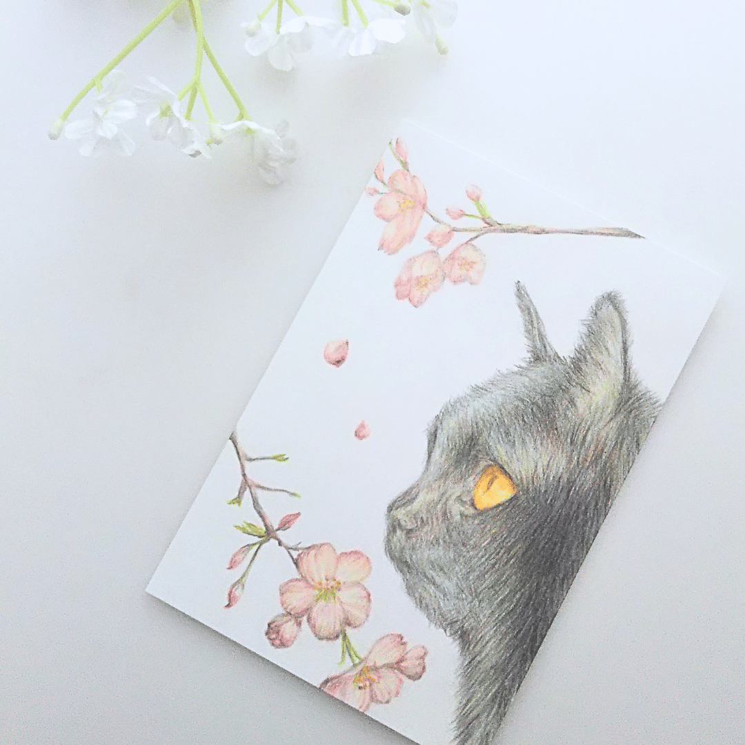 色鉛筆画 原画 一点物 手描き イラスト ハガキサイズ アート 猫 | d.n.c