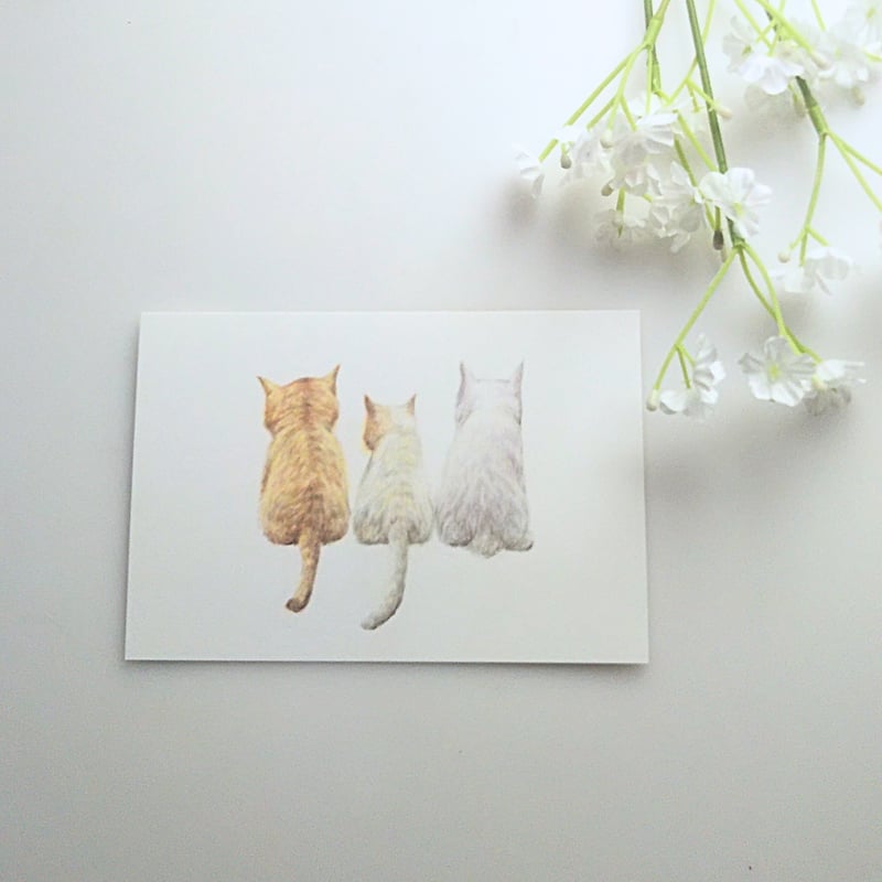 色鉛筆画 原画 一点物 手描き イラスト ハガキサイズ アート 猫 後ろ姿