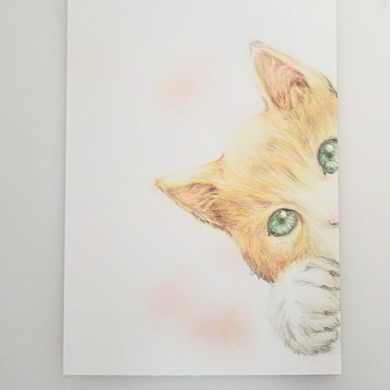 色鉛筆画 原画 一点物 手描き イラスト ハガキサイズ アート 猫 | d.n.c