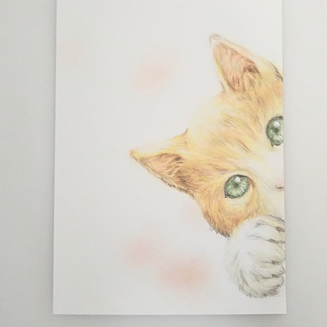 色鉛筆画 原画 一点物 手描き イラスト ハガキサイズ アート 猫 | d.n.c