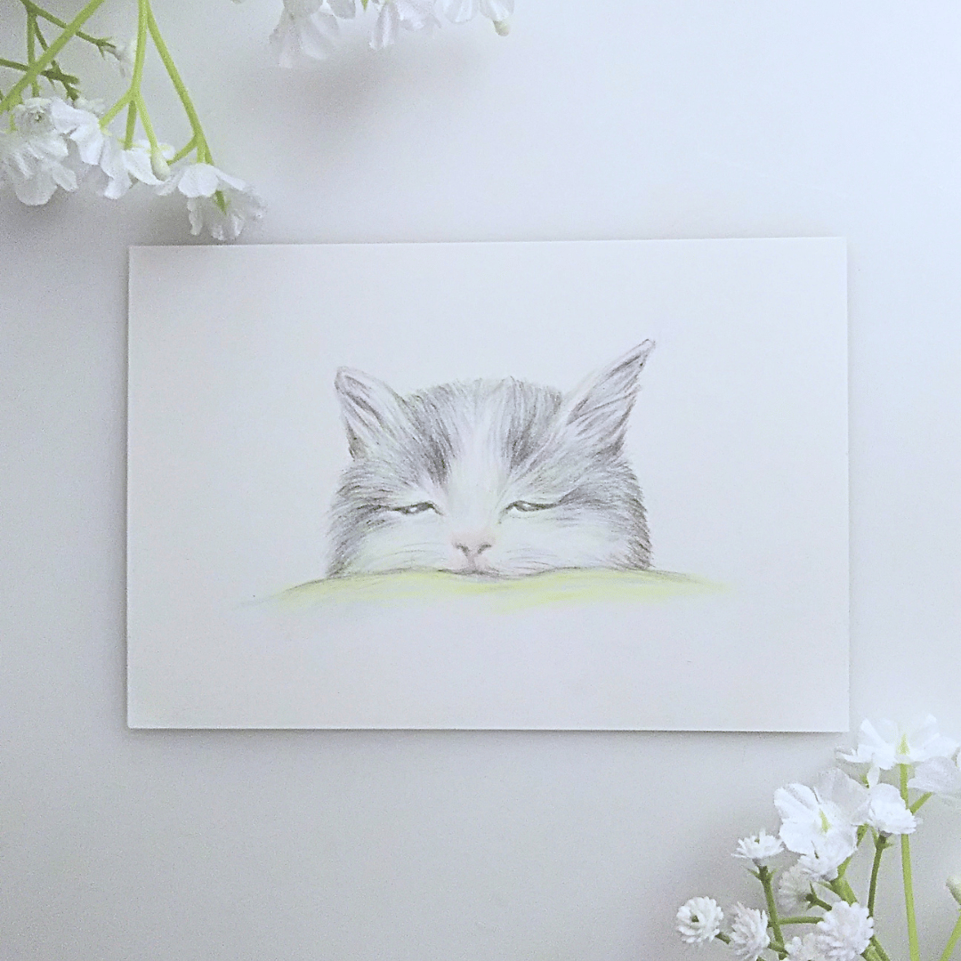 色鉛筆画 原画 一点物 手描き イラスト ハガキサイズ アート 猫 | d.n.c