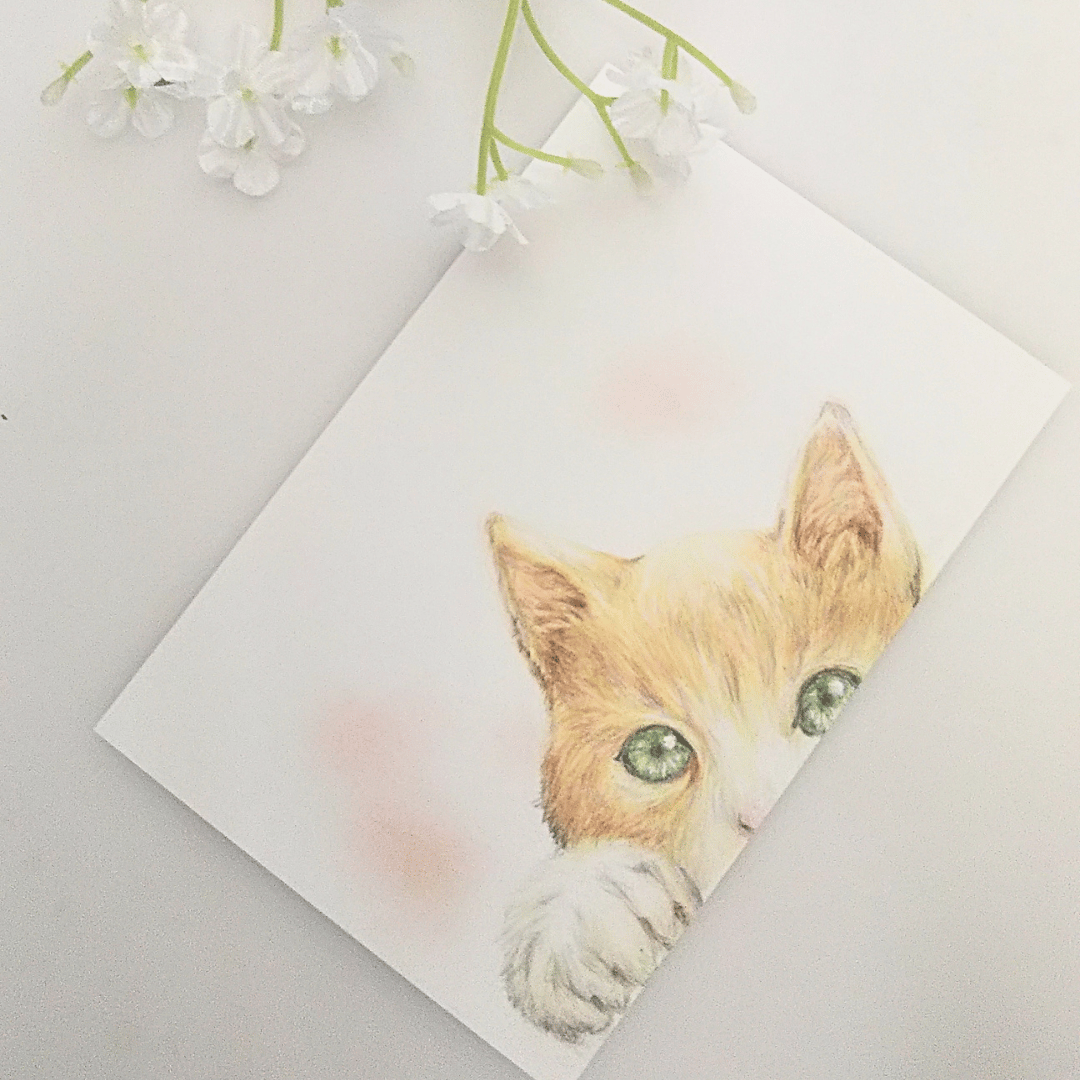 色鉛筆画 原画 一点物 手描き イラスト ハガキサイズ アート 猫 | d.n.c