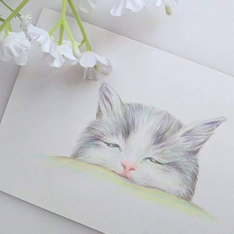 色鉛筆画 原画 一点物 手描き イラスト ハガキサイズ アート 猫 | d.n.c