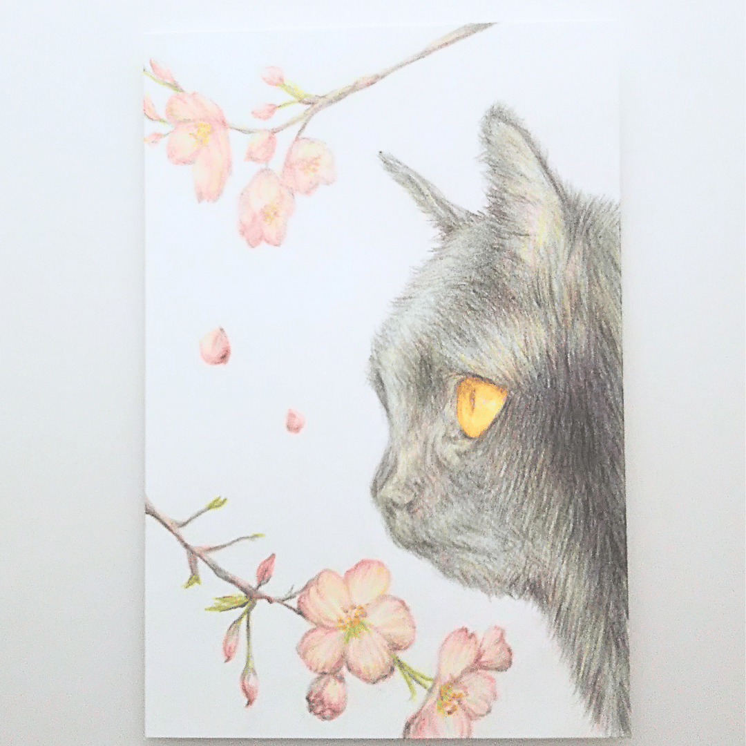 色鉛筆画 原画 一点物 手描き イラスト ハガキサイズ アート 猫 | d.n.c