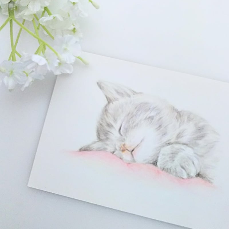 色鉛筆画 原画 一点物 手描き イラスト ハガキサイズ アート 猫 | d.n.c