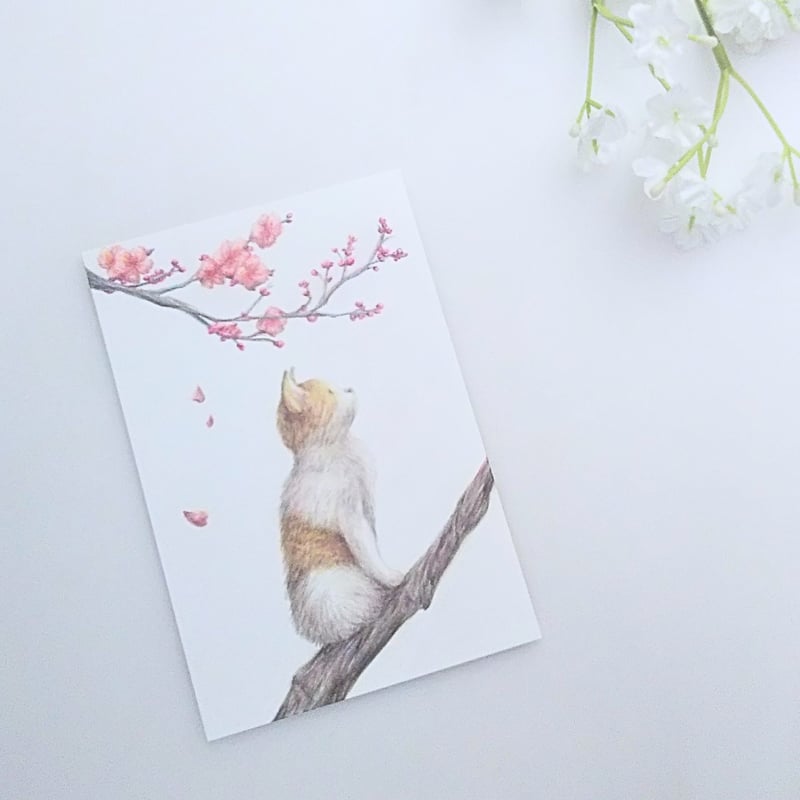 【原画一点物】「桜ひらり」猫の絵 桜の絵 絵画 原画 絵 動物画 ポップアート 色鉛筆画 原画 一点物 手描き イラスト ハガキサイズ アート ネコ 桜