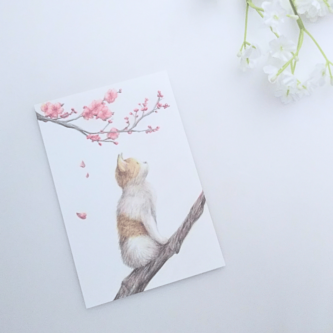 色鉛筆画 原画 一点物 手描き イラスト ハガキサイズ アート ネコ 桜