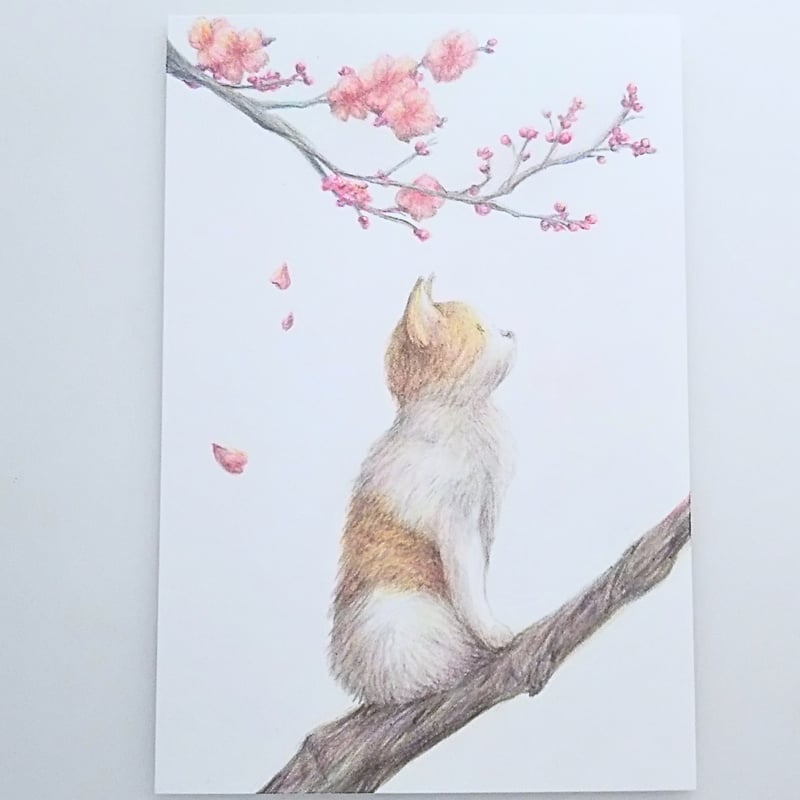 色鉛筆画 原画 一点物 手描き イラスト ハガキサイズ アート ネコ 桜