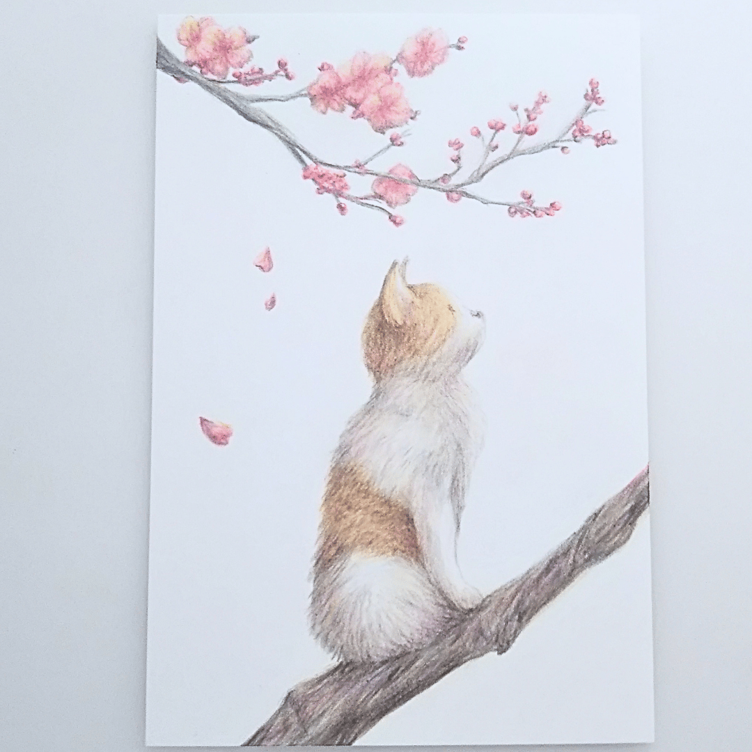 色鉛筆画 原画 一点物 手描き イラスト ハガキサイズ アート ネコ 桜