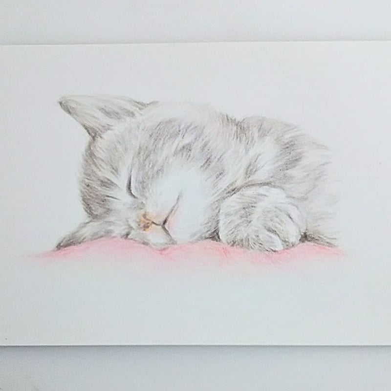 色鉛筆画 原画 一点物 手描き イラスト ハガキサイズ アート 猫 | d.n.c