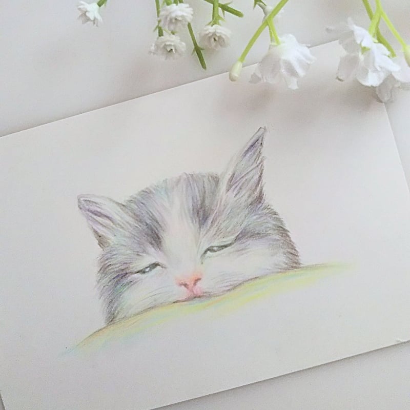 色鉛筆画 原画 一点物 手描き イラスト ハガキサイズ アート 猫 | d.n.c