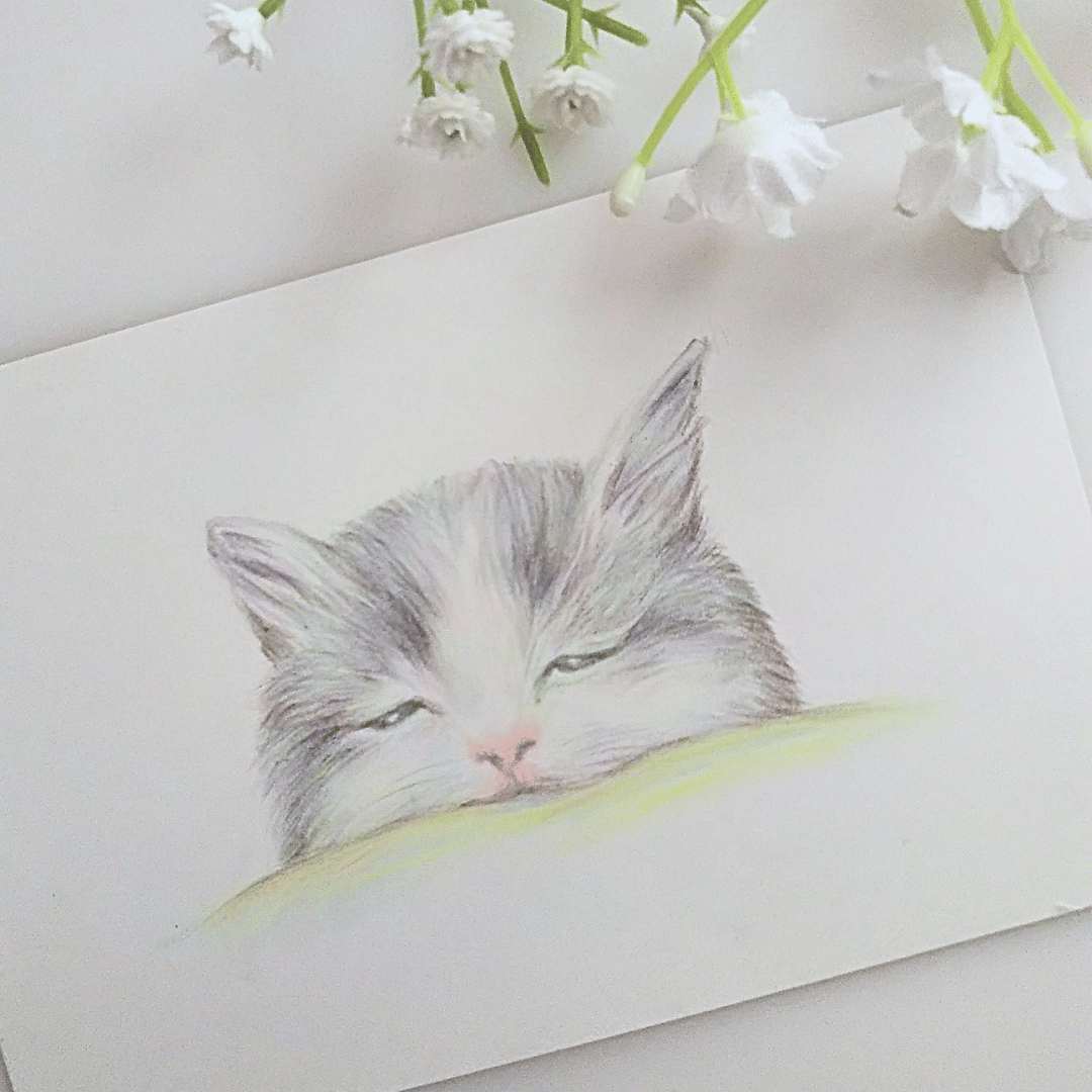 色鉛筆画 原画 一点物 手描き イラスト ハガキサイズ アート 猫 | d.n.c