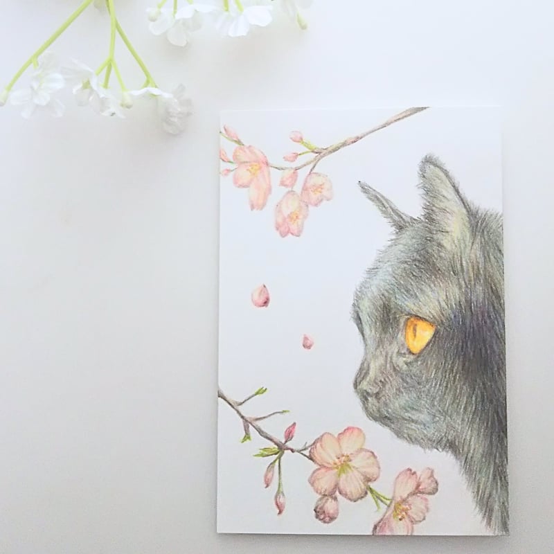 色鉛筆画 原画 一点物 手描き イラスト ハガキサイズ アート 猫 | d.n.c