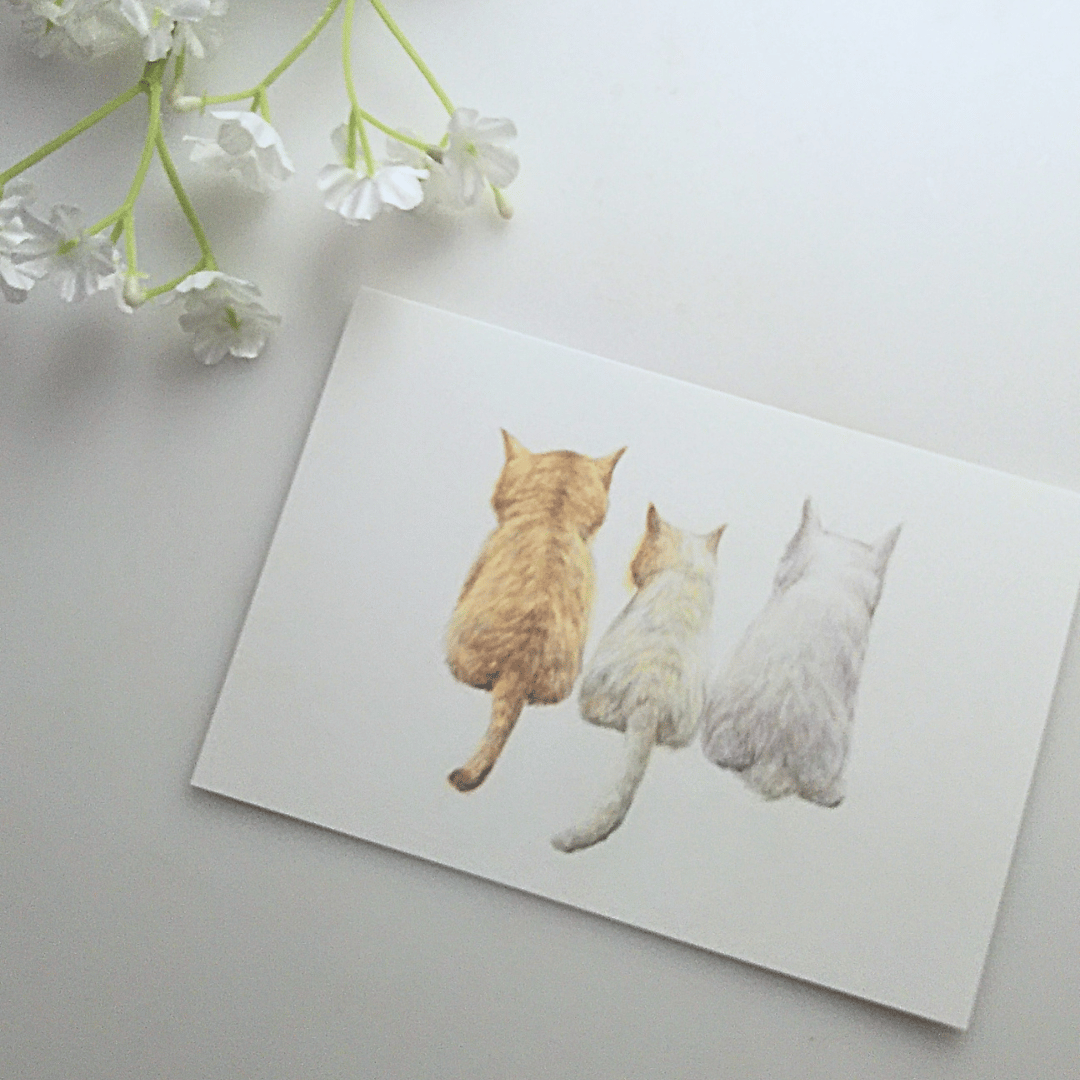 色鉛筆画 原画 一点物 手描き イラスト ハガキサイズ アート 猫 後ろ姿