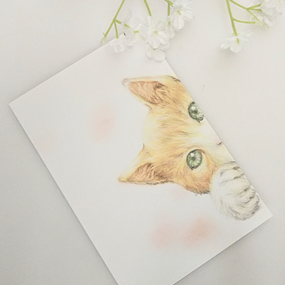 色鉛筆画 原画 一点物 手描き イラスト ハガキサイズ アート 猫 | d.n.c