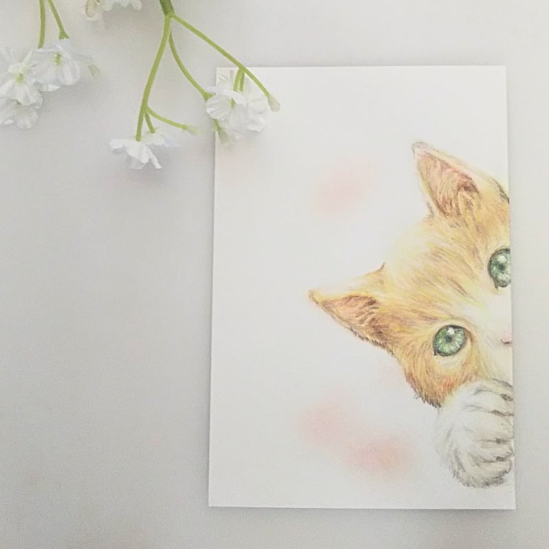 色鉛筆画 原画 一点物 手描き イラスト ハガキサイズ アート 猫 | d.n.c