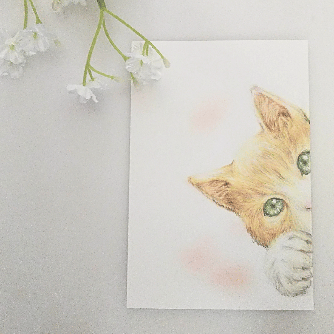 色鉛筆画 原画 一点物 手描き イラスト ハガキサイズ アート 猫 | d.n.c