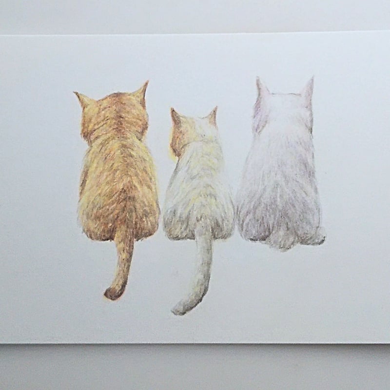 色鉛筆画 原画 一点物 手描き イラスト ハガキサイズ アート 猫 後ろ姿