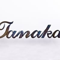 【最高峰ステース】チタン製アルファベット表札 / オーダーメイド 圧倒的な軽さと一生サビない強さ（RUSTIC）
